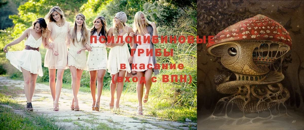 гашик Армянск