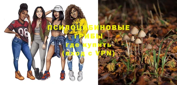 соль курить ск Арсеньев